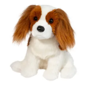 Kingsley King Charles Cavalier